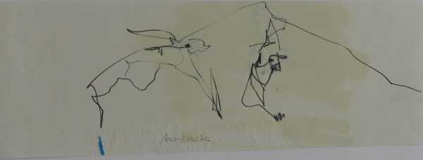 Himpelchen mit einem Hasen im Gebirge